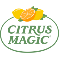 Citrus Magic